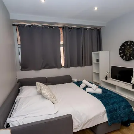 Magnifique Compans Caffarelli Daire Toulouse